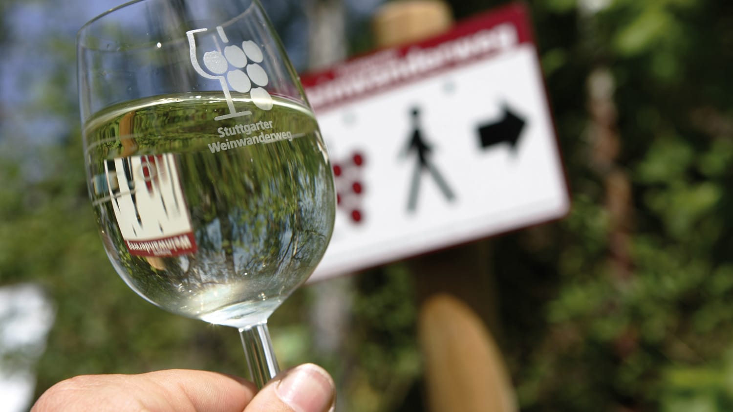 Glas Weißwein vor Schild Weinwanderweg