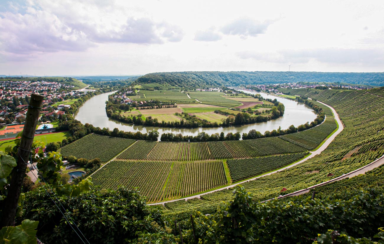 Neckarschleife Mundelsheim