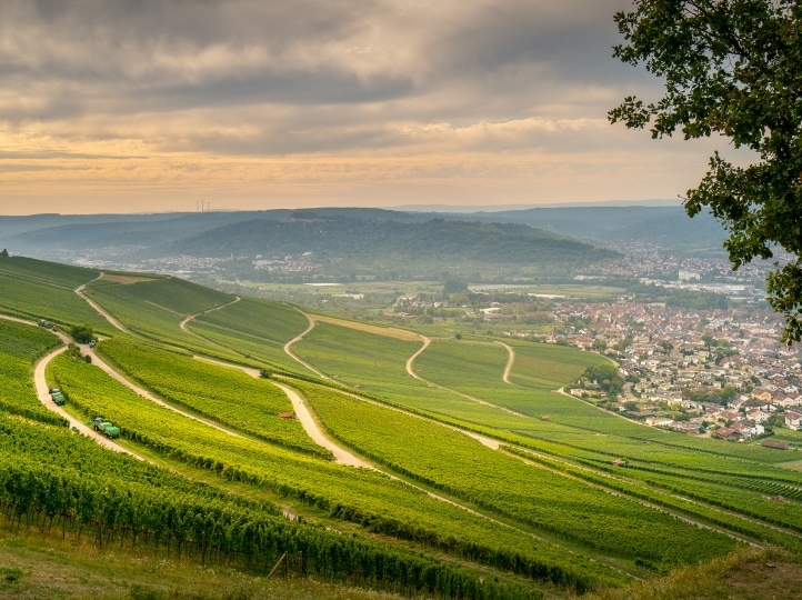 Blick vom Kleinheppacher Kopf