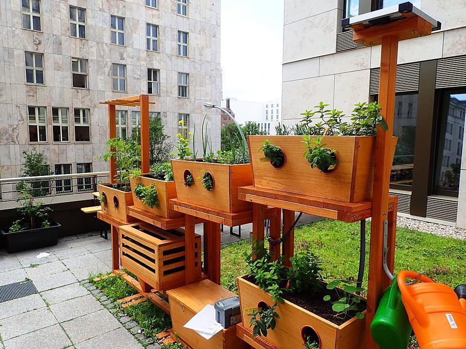 Urban-Gardening-Startup "Geco-Gardens" aus der Uni Hohenheim gewinnt regionalen Ideenwettbewerb PUSH! Campus Challenge (Foto: Geco Gardens)