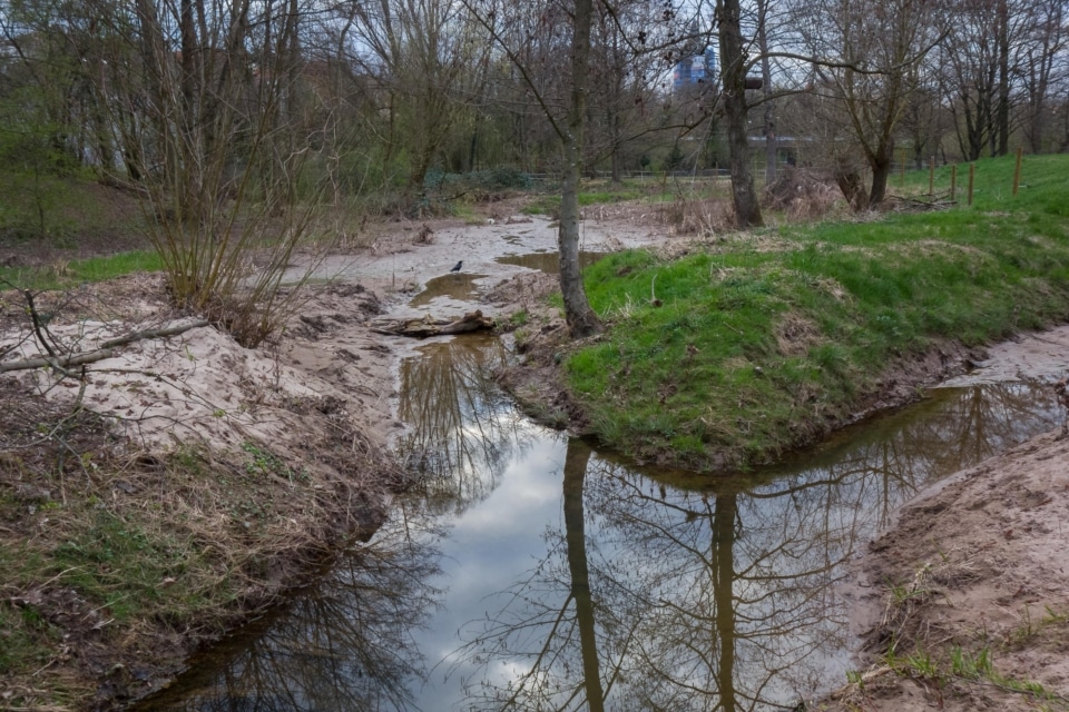 Familien-Oase am Flussufer