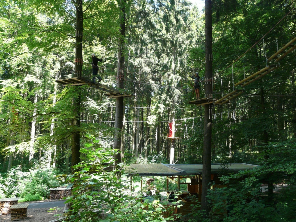 Am Seil durch den Wald